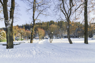 Duszniki Zdrój, zima, park zdrojowy