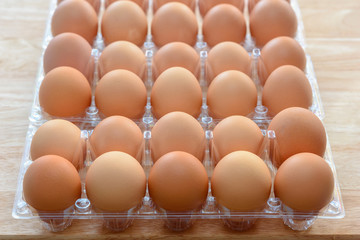 Eggs