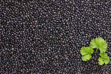 Food and cookery background of healthy dried  black lentils.