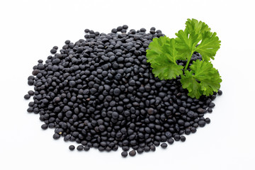 Lentin beluga. Black Lentins.Isolated on the white background.