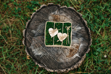 Beautiful wedding rings on wooden background, a stump