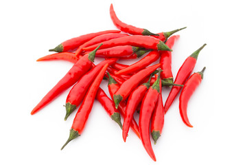 Chili pepper on the white background.