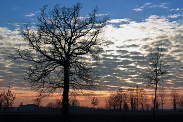 paesaggio di campagna al tramonto