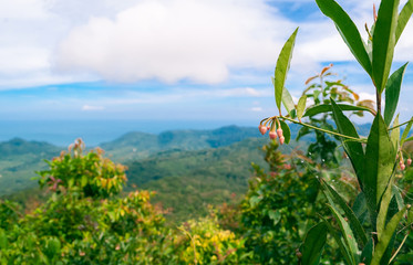 View from the highest point of the island koh Phangan