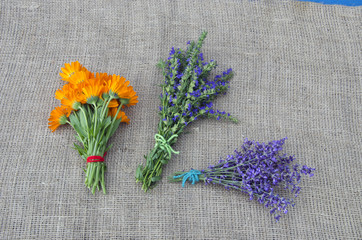 medical herbs marigold, lavender and hyssop bunch