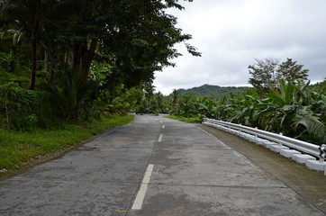 Fototapeta na wymiar Old asphalt road in the mountains in Asia.