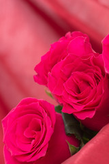 Closeup of red roses bouquet, with red fabric blurred background.