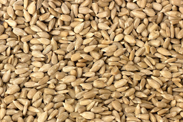 fresh sunflower seeds - close-up photo
