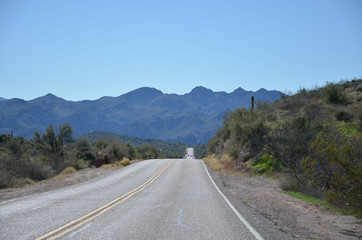Saguaro Lake