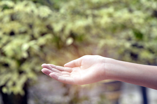  boy hand and nature background .