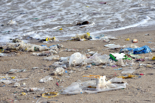 Beach pollution. Plastic bottles and other trash on sea beach