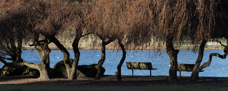 Parc de la courneuve