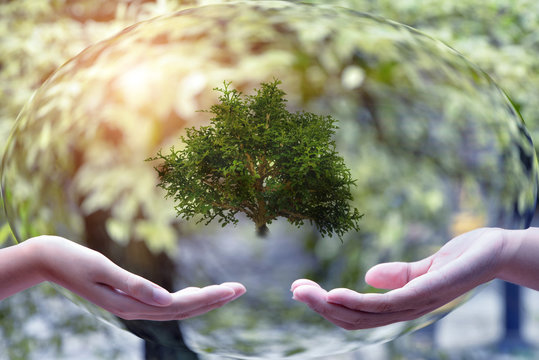 Boy hand ,plant and nature background , Ecology concept . Ecology concept .