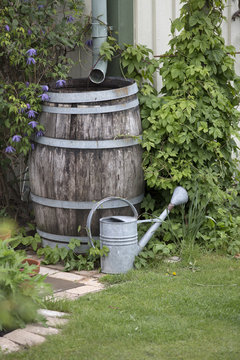 Watering can by wooden barrel under drain pipe in garden