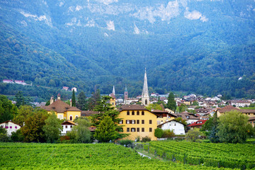 Fototapeta na wymiar View of Kaltern town at the South Tyrolean wine route