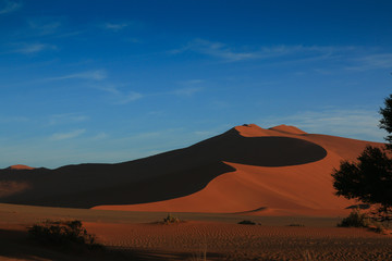 Fototapeta na wymiar sand dune #2