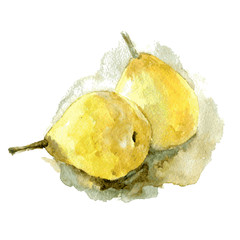Two yellow pears. Watercolor illustration.
