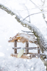 Bird feeder on a snowy winter day. Shallow depth of field.