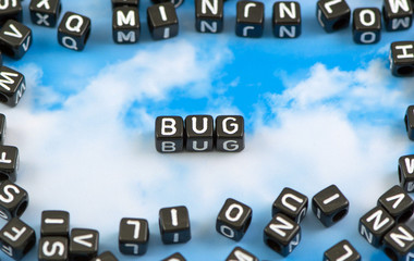The word bug on the sky background