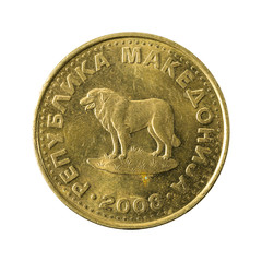 one macedonian denar coin (2008) reverse isolated on white backg