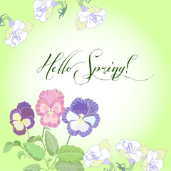 Spring background with white  peonies 