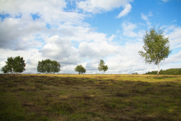 Spring hill with birch tree growing on the background of bright blue sky with the regional party committee