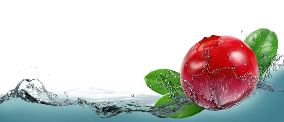 Fototapeta na wymiar Ripe berry cranberries on a background of splashing water.