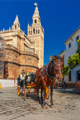 Fototapeta na wymiar Horse carriage waiting for tourists near Giralda, bell tower of the Seville Cathedral, in the sunny summer day, Seville, Andalusia, Spain.