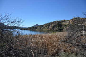 Saguaro Lake
