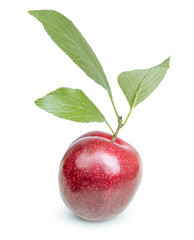 isolated plums