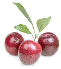 Fototapeta na wymiar isolated plums