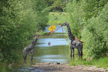 Tierzirkus am Wasserlauf