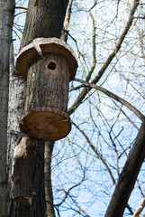 The birdhouse on the tree
