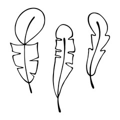Vector hand drawn illustration, decorative ornamental stylized feather. Black and white graphic illustration isolated on the white background. Hand drawing silhouette.