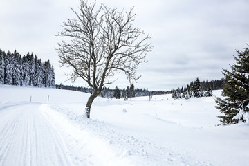 Winter scenery with snowy street
