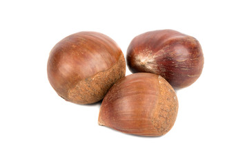Three edible chestnuts