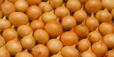 stock of yellow-orange onions © guppys