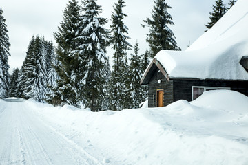 Fototapeta na wymiar Winter scenery with snowy street