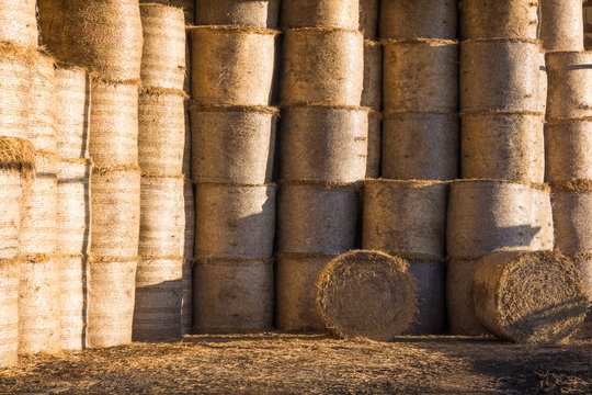 hay bales in farm storage