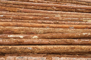 Lumber Logs In A Pile