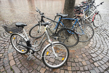Fototapeta na wymiar Group of bicycles left by students near a tree while studying on rainy day