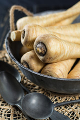 Fresh parsnip roots in old style