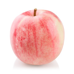 apple on a white