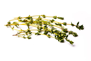 Fresh thyme sprigs lie on a white background, not isolated.