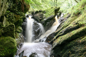 waterfall river ness woods