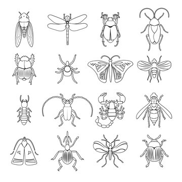 Outline Insects Icons Set