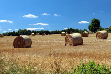 Landschaft in Frankreich 2 