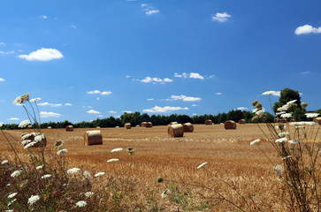Landschaft in Frankreich