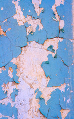 Plastered surface of the wall with peeling blue paint