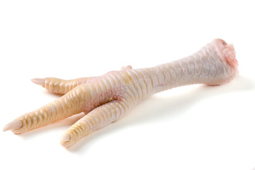 one chicken paw isolated on white background